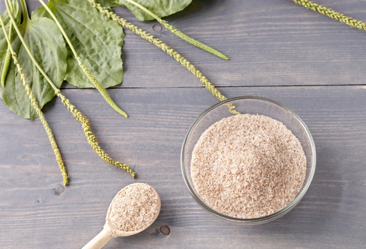 Organic Psyllium Husk Manufacturer