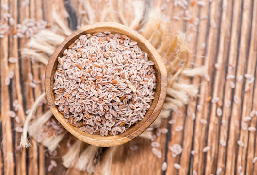 Psyllium Seed Exporter